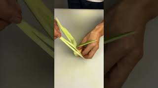 Cantaloupe fruit plate cutting method [upl. by Nhepets581]