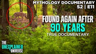 The Tasmanian Tiger Is NOT Extinct  Thylacine  Mythology Documentary  Boogeymen  S2E11 [upl. by Jepum]