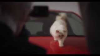 Choupette amp Opel Corsa by Karl Lagerfeld  AutoMotoTV [upl. by Akzseinga]