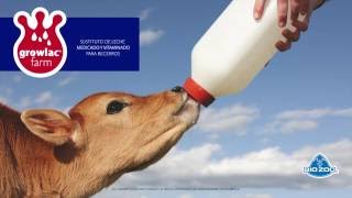 Growlac Farm  Sustituto de Leche [upl. by Alvita]