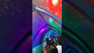 beautiful colourfulamazing fishAquarium setupcolourful fishtank setupshort videovirel [upl. by Callista]