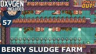 BERRY SLUDGE FARM  ONI  Spaced Out Ep 57 Oxygen Not Included [upl. by Kcirddec]