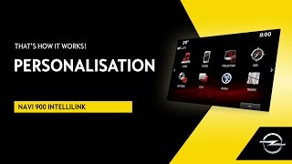 Navi 900 IntelliLink  Personalisation  Thats How It Works [upl. by Mixie]