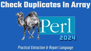 Perl Programming Code 2024 Check Duplicates In Array [upl. by Nibur]