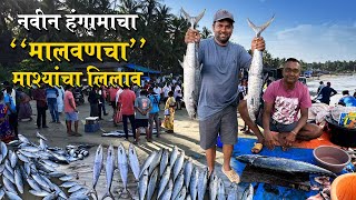 नवीन हंगामाचा quotमालवणचाquot मास्याचा लिलाव  Fish Auction Of Malvan Bandar [upl. by Guillermo715]