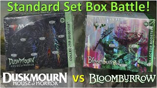 Epic Standard Set Box Battle  Duskmourn vs Bloomburrow Collector Booster Boxes w Pricing [upl. by Rettke]