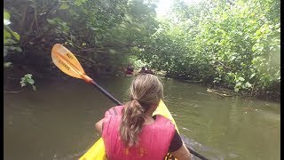 Kayak Hike Swim at not so “Secret Falls” at Wailua River Kauai Hawaii [upl. by Fidellas]