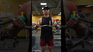 STOP Making This Bicep Curl MISTAKE [upl. by Andriette363]