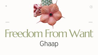 Vryheid I Freedom from want Ghaap [upl. by Leinaj]