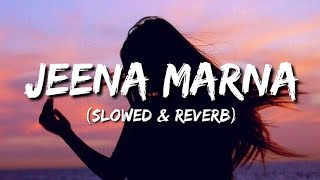 Jeena Marna Lyrics  Slowed amp Reverb [upl. by Launcelot687]