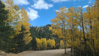 Old Stage Road East  Fall Colors in Colorado [upl. by Waller]