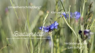 Was ist eigentlich Biodiversität  einfach erklärt [upl. by Ramahs]