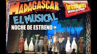 MADAGASCAR EL MUSICAL  Noche de estreno en Madrid [upl. by Meehsar154]