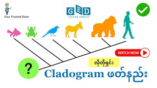 How To Read A Cladogram for GED Science Including the Bonus Part in the Second Part of The Video [upl. by Ainak]