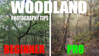 7 Simple Beginner Tips for Woodland Photography [upl. by Valenka]