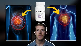 Turkesterone  Side Effects To Look Out For [upl. by Eigna202]