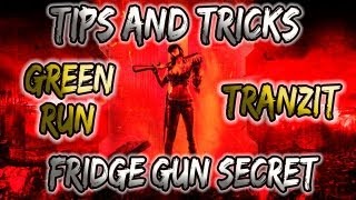 Fridge Fridgerator Tip on Farm Black Ops 2 Zombies Tranzit Green Run [upl. by Nyrual]