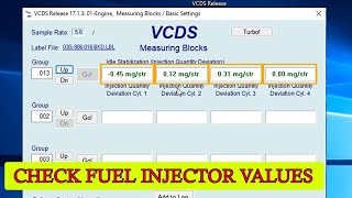 How to check fuel injector values with VCDS VAGCOM for VW Audi Seat Skoda [upl. by Louls]