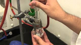 UTSC  Chemistry Lab Grignard Reaction Experiment [upl. by Madeleine264]