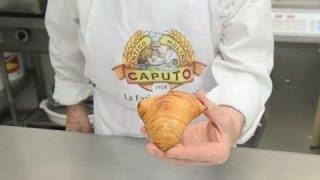 Italian dessert recipes quotsfogliatella ricciaquot  stuffing [upl. by Aylad]