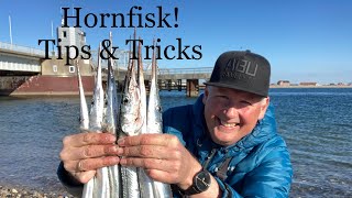 Hornfisk Tips amp Tricks [upl. by Yhtamit]