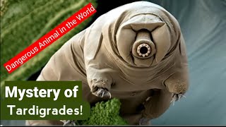 What are Tardigrade  Tha strongest Creature Ever  Latest scientist Finaly Teleport a Tardigrades [upl. by Enomor]