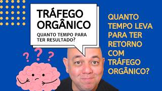 Quanto tempo para ter resultado no trafego organico [upl. by Verney]