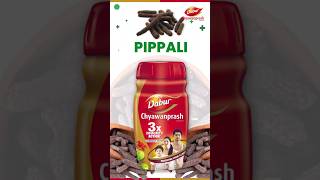 Pippali Experience the Digestive Strength of Dabur Chyawanprash shorts daburchyawanprash [upl. by Husha]