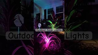 Vibrant Outdoor Solar Lights Step your yard game up [upl. by Anahpos]