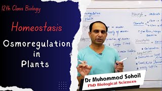 Osmoregulation in Plant  Homeostasis  12th Biology [upl. by Bicknell]