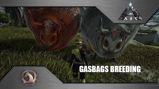 Ark Survival Evolved  Breeding Gasbags [upl. by Ramsay]