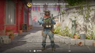 CS2 Blueberries Buckshot  NSWC SEAL  CounterStrike 2 Agent Skin Showcase amp Inspect [upl. by Maiga178]