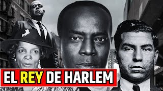 ✅ BUMPY JOHNSON El Gánster que Desafío a la Mafia Italiana  Antes de Godfather of Harlem [upl. by Etteloiv775]