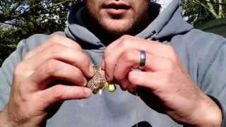 Carp fishing with SOUTHWEST CARPERS EPISODE TWO MILLHAYES FISHERY [upl. by Hayifas]