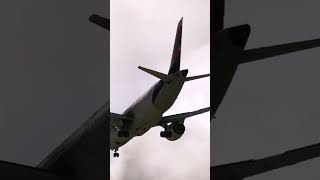 Boeing 787 landing at SBGR l Microsoft Flight Simulator Made with Clipchamp [upl. by Durkee]