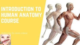 Introduction to human anatomy [upl. by Naiditch]