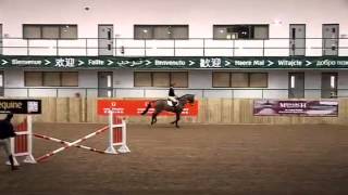 Mark Todd on changing lead over a fence [upl. by Cirtemed]