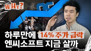 위기의 엔씨소프트 100만원 영광 되찾을까｜WHY EP22 [upl. by Orville]