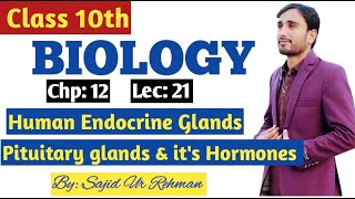 Human Endocrine glands  Pituitary glands and its Hormones  10th Bio Chp 12 Lec 21 [upl. by Llamaj118]