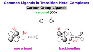 Stereoisomerism in Complex Ions Transition Metals [upl. by Haniraz892]