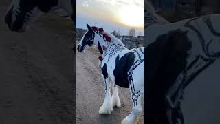 хэллоуин horsestance horseshow horse equestrian action edit how [upl. by Anaeel380]