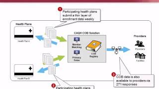 COB Smart Health Plan Strategies on Coordination of Benefits [upl. by Izmar]