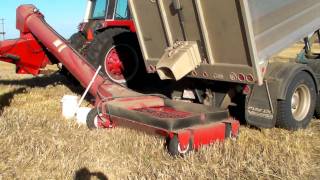 Unloading wheat into the bin [upl. by Neroled]