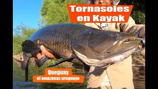 Tornasoles en Kayak dos días a pura aventura amistad y pesca en un lugar mágico [upl. by Akimas]