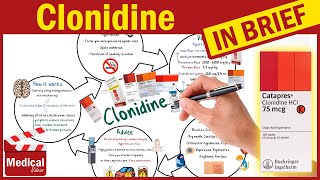 Clonidine 01 mg Catapres What Is Clonidine Used For Uses Dosing and Side Effects of Clonidine [upl. by Dranyar]