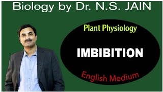 Imbibition Plant Physiology  English Medium [upl. by Dael]