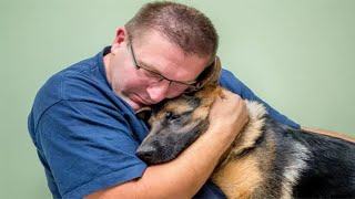 Ein Ehepaar rettete einen Hund von der Straße und erlebte am Morgen eine unglaubliche Überraschung [upl. by Horner22]