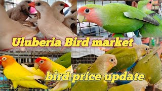 uluberia pet market today new bird price update [upl. by Arta]