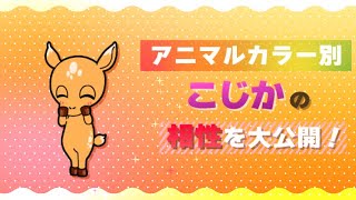 【動物占い】こじかのアニマルカラー別相性を大公開！ [upl. by Latrena]