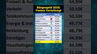 Bürgergeld Höhe nach Posten in 2025 [upl. by Emmye509]